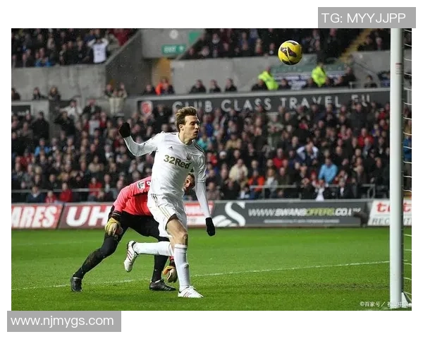 斯旺西主场迎战沃特福德精彩对决回顾及赛后分析